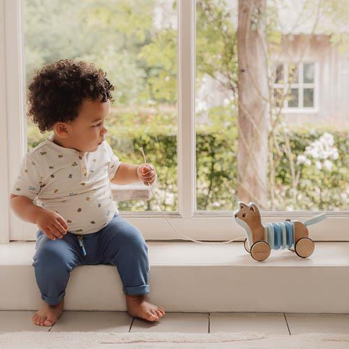 Little Dutch - Volpe trainabile snodato