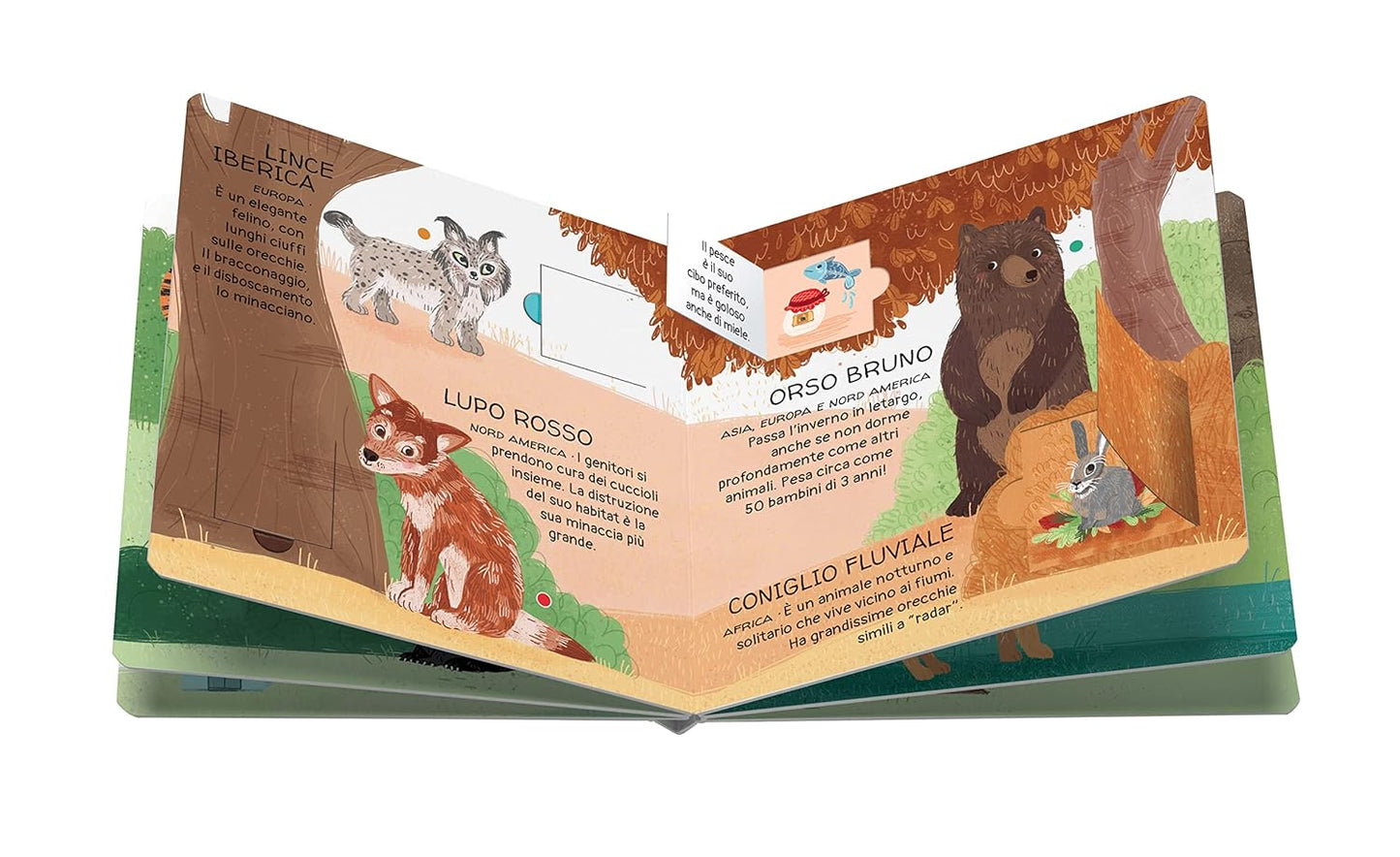 Sassi Junior - Animali da salvare, I boschi