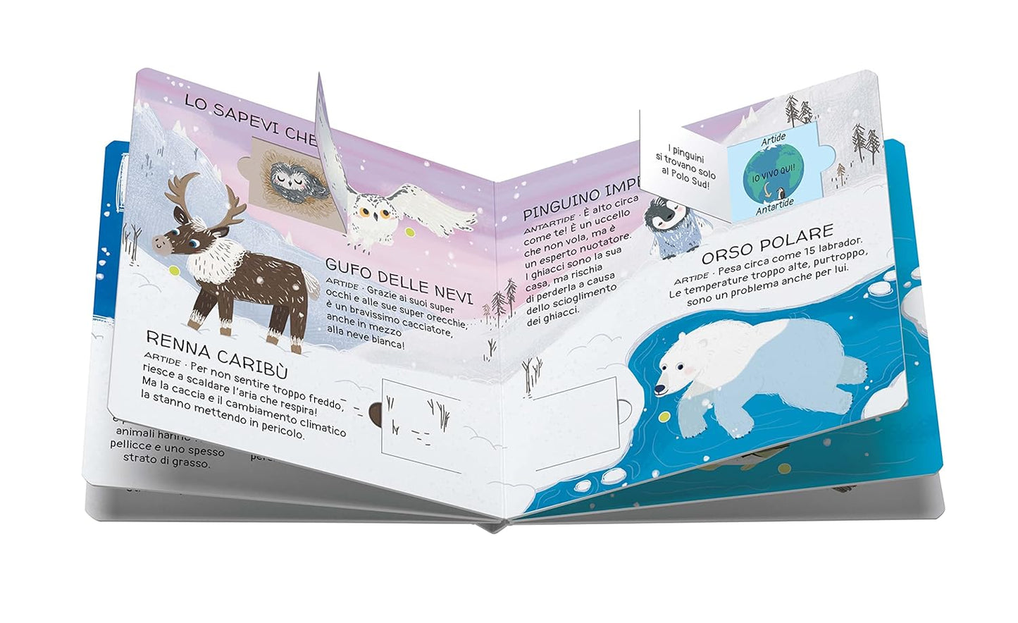 Sassi Junior - Animali da salvare, I ghiacci
