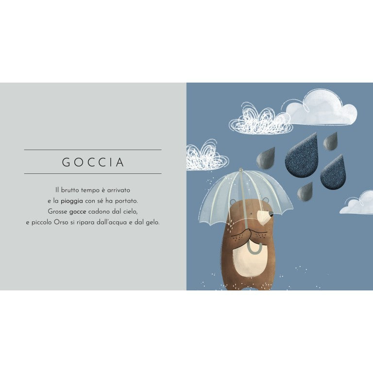 Sassi Junior - Tocca anche tu! Le forme