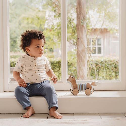 Little Dutch - Volpe trainabile snodato