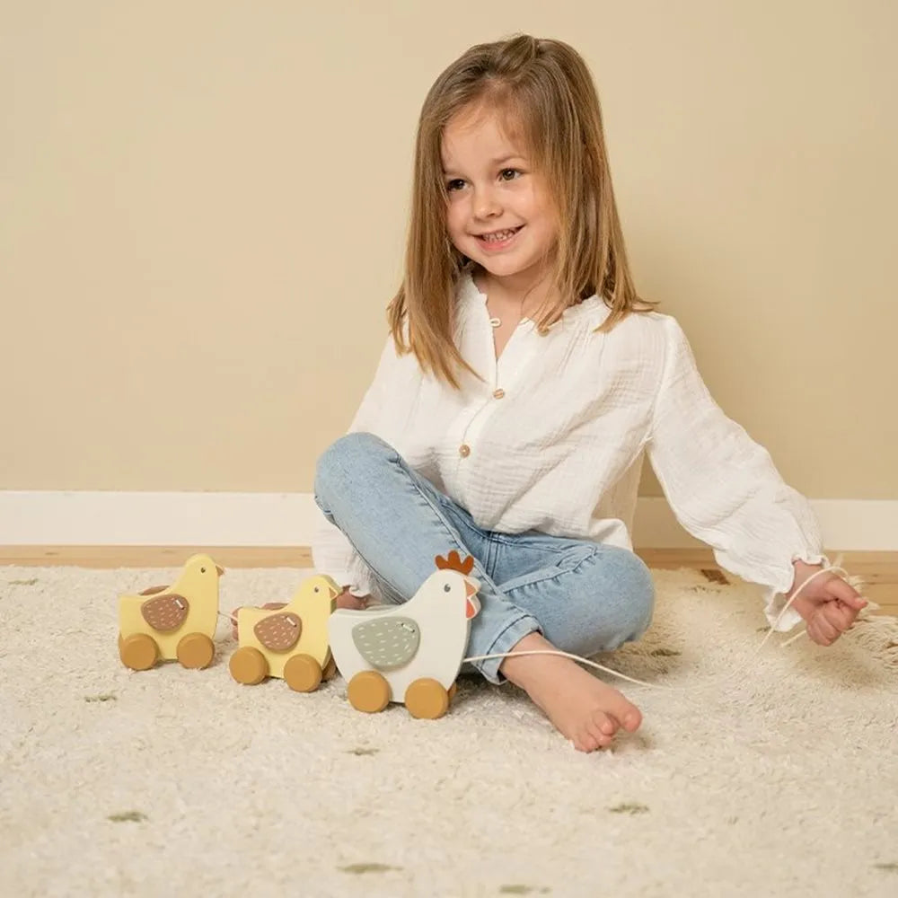 Little Dutch - Gallina trainabile