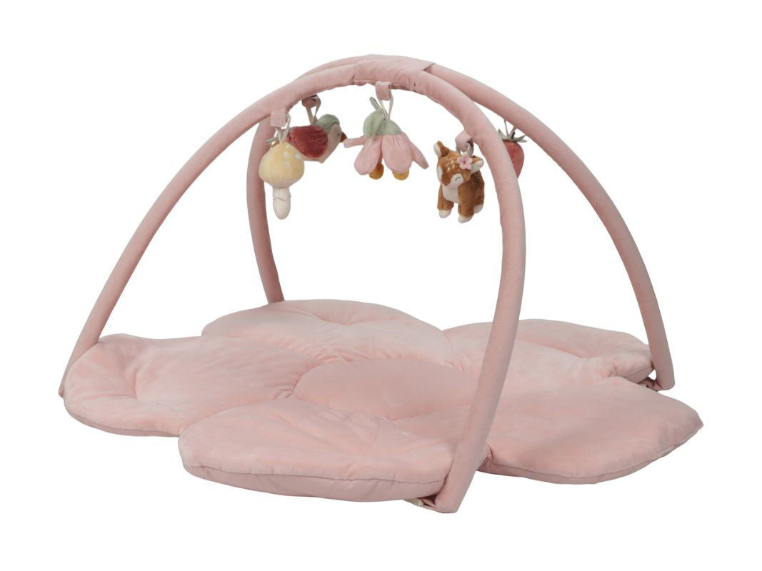 Little Dutch - Palestrina morbida fairy garden