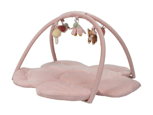 Little Dutch - Palestrina morbida fairy garden