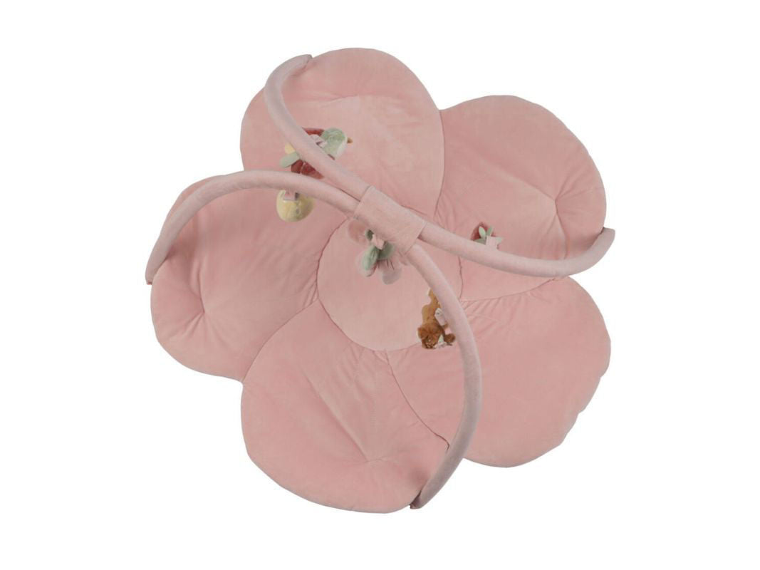 Little Dutch - Palestrina morbida fairy garden