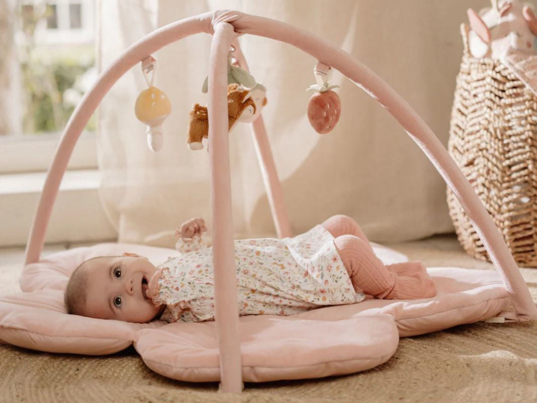 Little Dutch - Palestrina morbida fairy garden