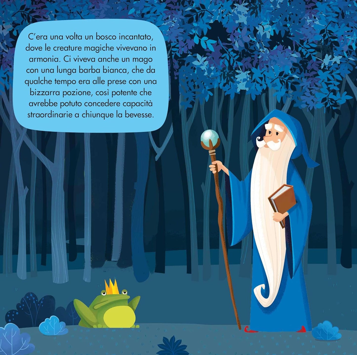 Sassi Junior - Libro e puzzle fantasy, Il bosco incantato