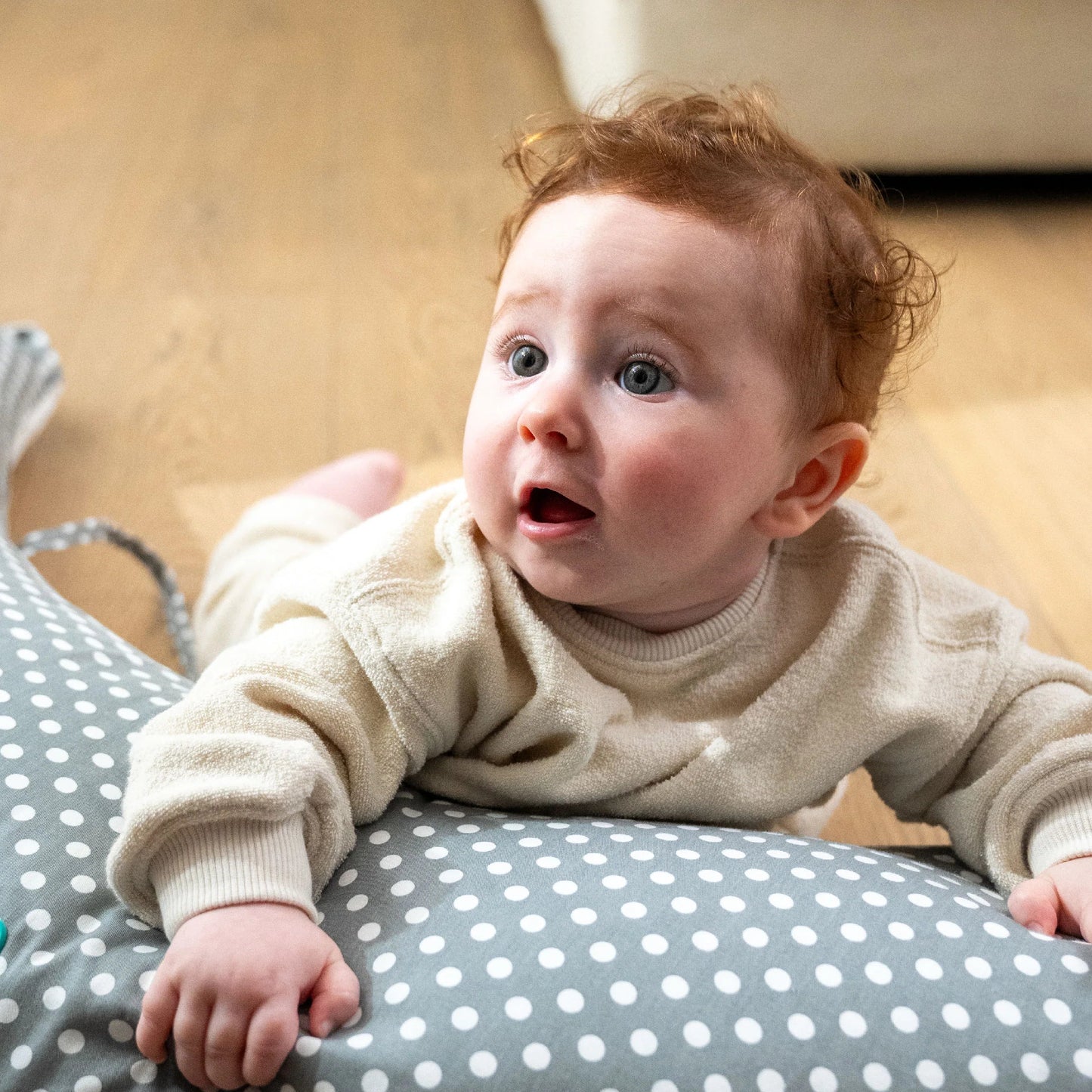 Koala Hugs - Cuscino gravidanza e allattamento blu con pallini bianchi