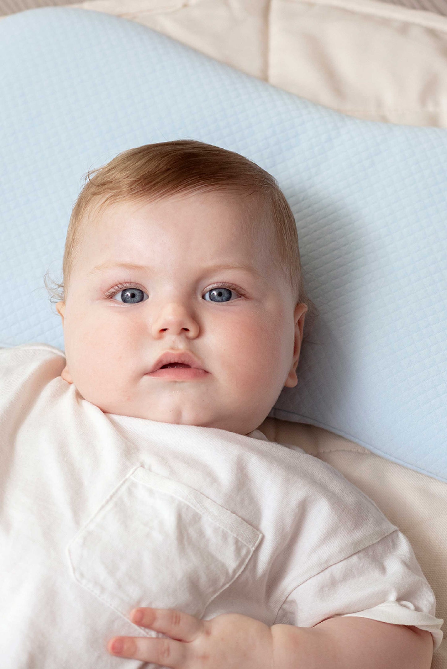 Cuscino per testa piatta, Pefect Head Maxi - Celeste