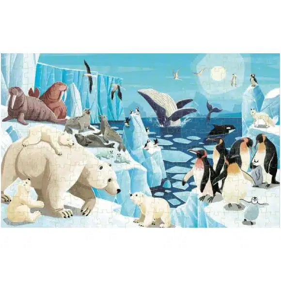Sassi Junior - Un pianeta a rischio, I ghiacci