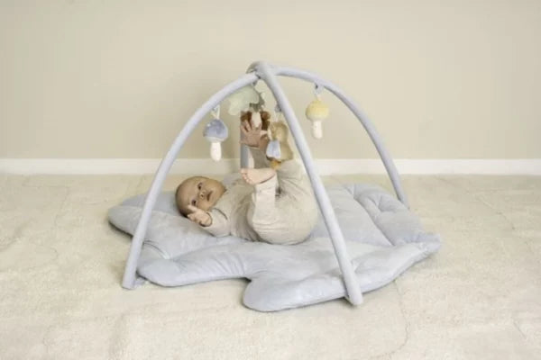 Little Dutch - Palestrina morbida forest friends