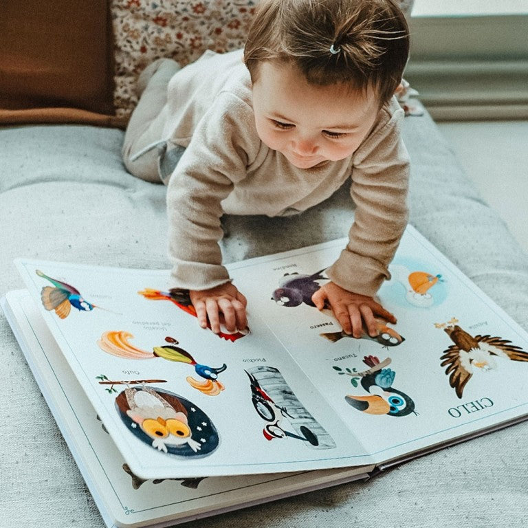 Sassi Junior - Il paroliere degli animali