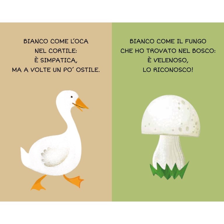 Sassi Junior - La mia prima biblioteca, I colori