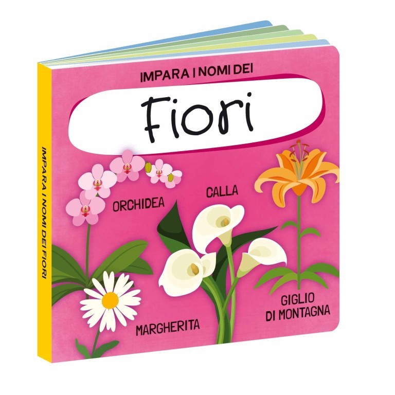 Sassi Junior - Q-box, Il mondo dei fiori