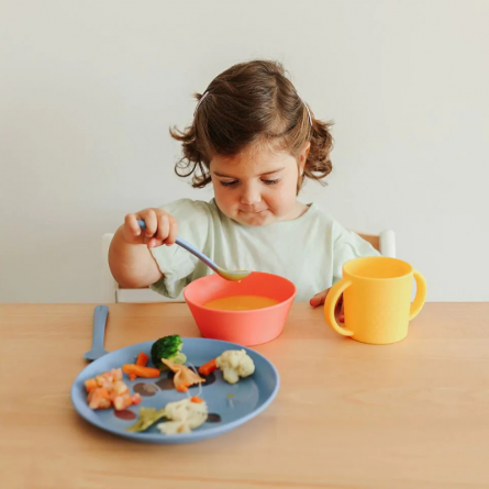 Miniland - Set pappa explore